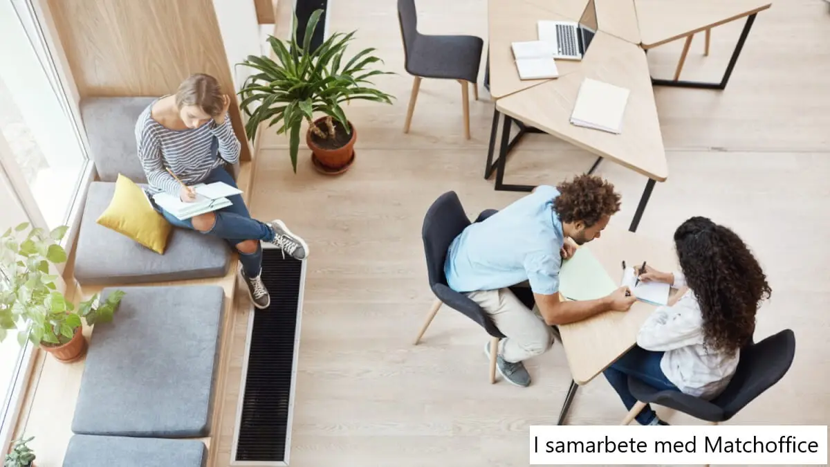 Coworking Göteborg: 5 bästa för dig med husdjur