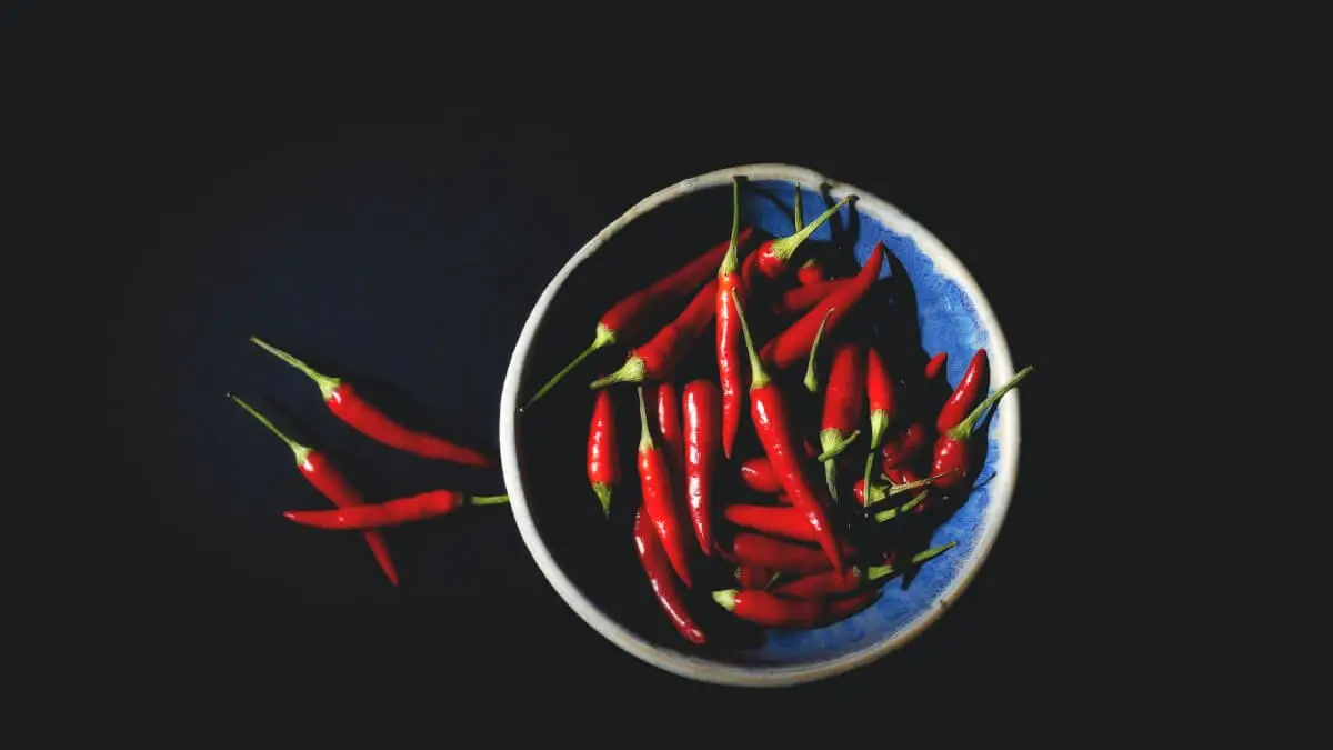 Världens starkaste chili