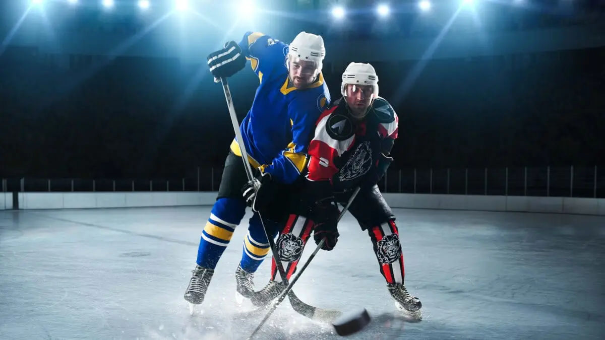 SHL löner 2024